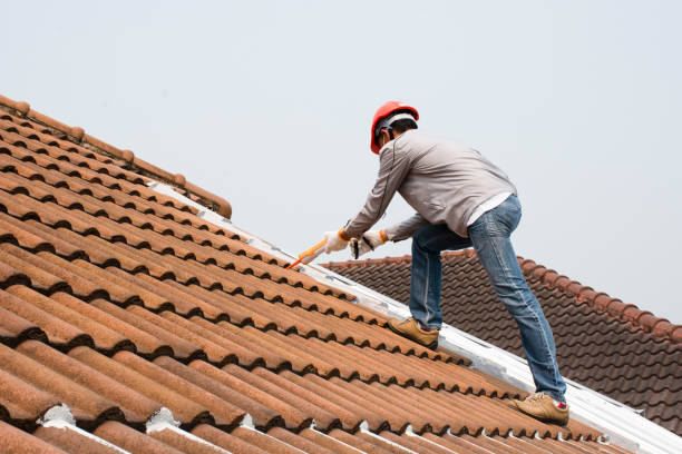 Best Solar Panel Roofing Installation  in Lemont, PA